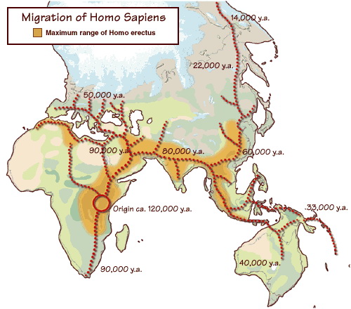 Peta jalur kedatangan berdasarkan teori Out of africa (Teori asal usul bangsa Indonesia)